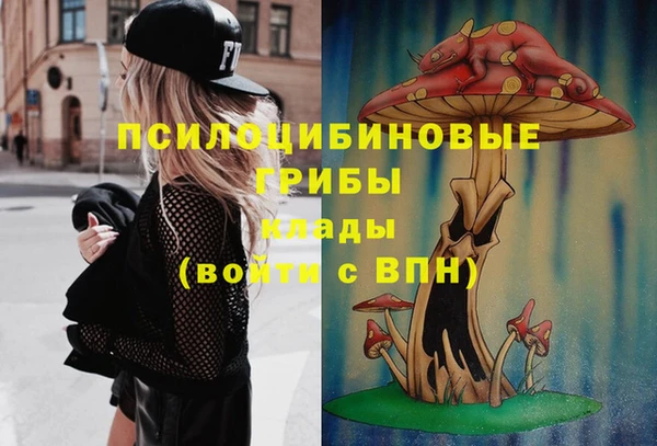 МДПВ Алексеевка