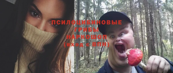 спайс Алзамай