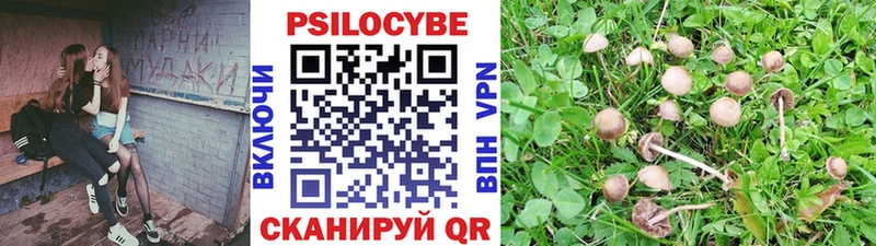 Галлюциногенные грибы MAGIC MUSHROOMS  купить наркоту  Бирюч 